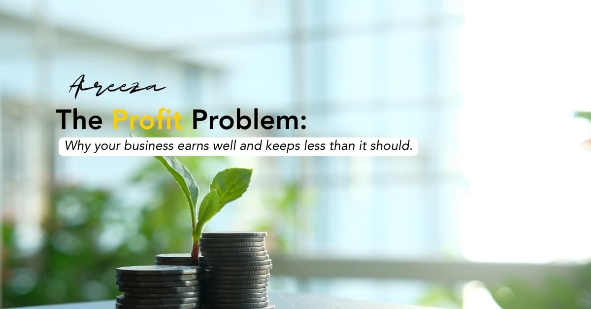 The profit problem. Why your business earns well and keeps less than it should.